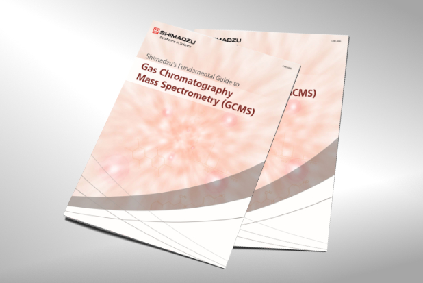 Fundamental Guide to GCMS